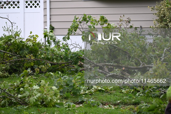 A large tree is uprooting and causing major damage to a home on Wynetta Place during severe weather impacting the northeastern United States...