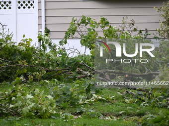 A large tree is uprooting and causing major damage to a home on Wynetta Place during severe weather impacting the northeastern United States...