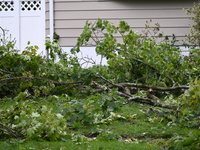 A large tree is uprooting and causing major damage to a home on Wynetta Place during severe weather impacting the northeastern United States...