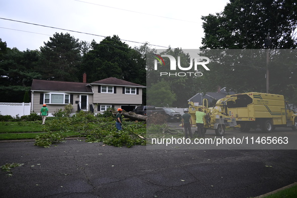 A large tree is uprooting and causing major damage to a home on Wynetta Place during severe weather impacting the northeastern United States...