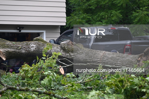 A large tree is uprooting and causing major damage to a home on Wynetta Place during severe weather impacting the northeastern United States...