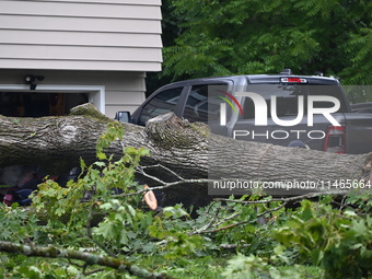 A large tree is uprooting and causing major damage to a home on Wynetta Place during severe weather impacting the northeastern United States...