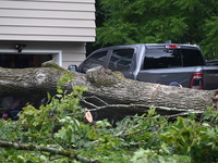 A large tree is uprooting and causing major damage to a home on Wynetta Place during severe weather impacting the northeastern United States...