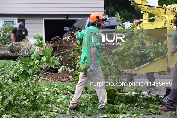 A large tree is uprooting and causing major damage to a home on Wynetta Place during severe weather impacting the northeastern United States...