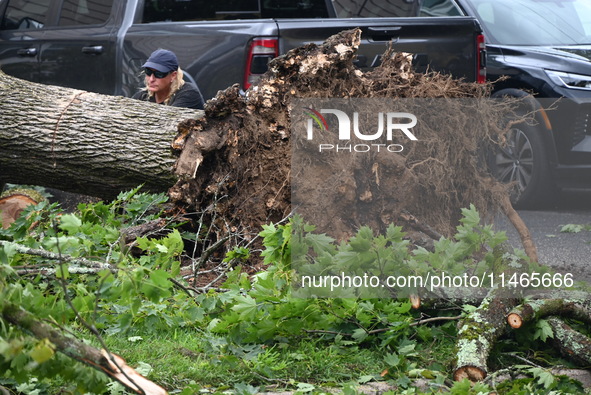 A large tree is uprooting and causing major damage to a home on Wynetta Place during severe weather impacting the northeastern United States...