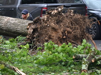 A large tree is uprooting and causing major damage to a home on Wynetta Place during severe weather impacting the northeastern United States...