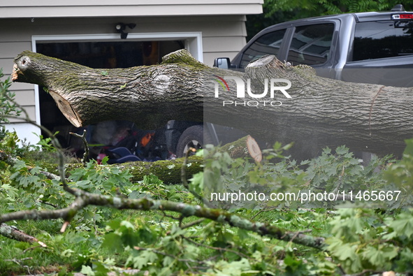 A large tree is uprooting and causing major damage to a home on Wynetta Place during severe weather impacting the northeastern United States...