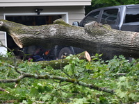 A large tree is uprooting and causing major damage to a home on Wynetta Place during severe weather impacting the northeastern United States...