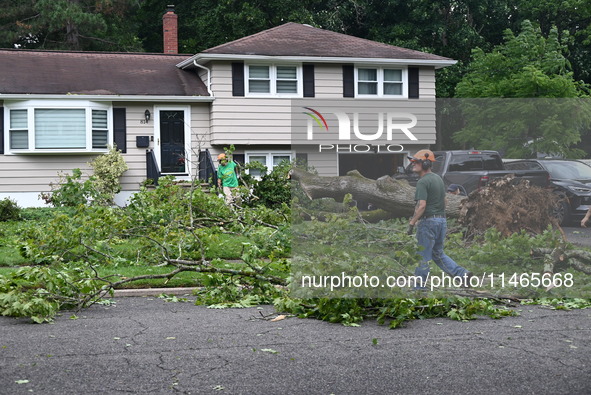 A large tree is uprooting and causing major damage to a home on Wynetta Place during severe weather impacting the northeastern United States...