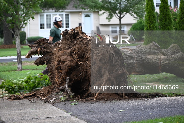 A large tree is uprooting and causing major damage to a home on Wynetta Place during severe weather impacting the northeastern United States...