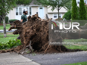 A large tree is uprooting and causing major damage to a home on Wynetta Place during severe weather impacting the northeastern United States...