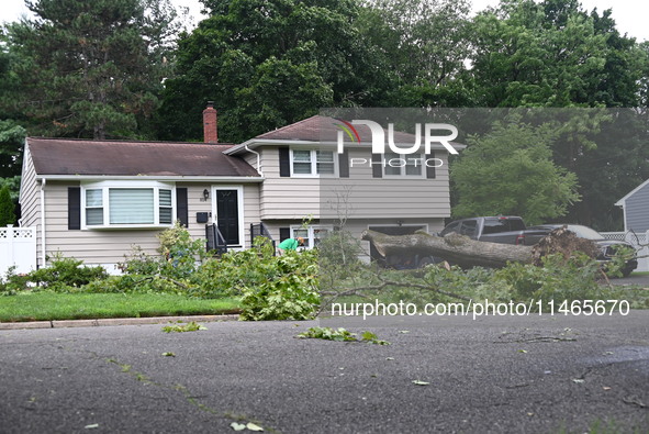 A large tree is uprooting and causing major damage to a home on Wynetta Place during severe weather impacting the northeastern United States...