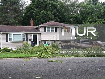 A large tree is uprooting and causing major damage to a home on Wynetta Place during severe weather impacting the northeastern United States...