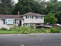 A large tree is uprooting and causing major damage to a home on Wynetta Place during severe weather impacting the northeastern United States...