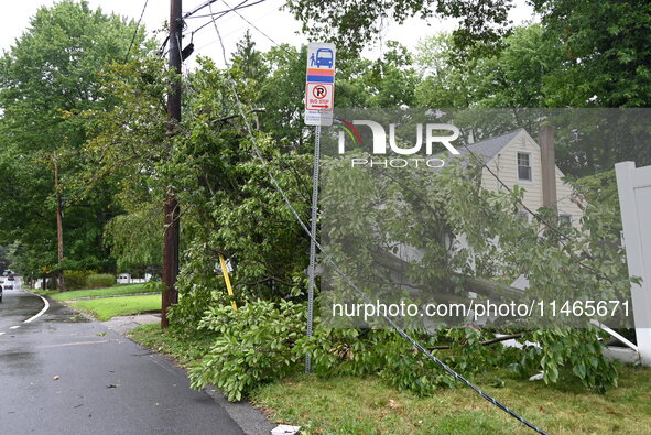 A large tree is damaging a fence, causing power lines to come down, and causing severe damage to a home during severe weather impacting the...