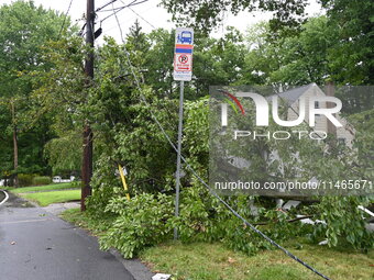 A large tree is damaging a fence, causing power lines to come down, and causing severe damage to a home during severe weather impacting the...