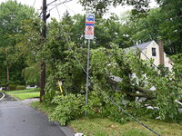 A large tree is damaging a fence, causing power lines to come down, and causing severe damage to a home during severe weather impacting the...