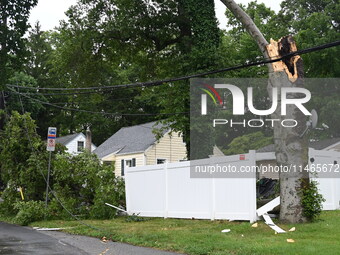 A large tree is damaging a fence, causing power lines to come down, and causing severe damage to a home during severe weather impacting the...