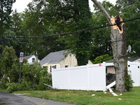 A large tree is damaging a fence, causing power lines to come down, and causing severe damage to a home during severe weather impacting the...