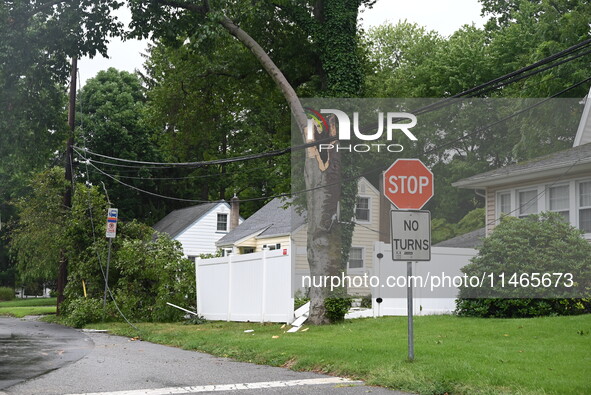 A large tree is damaging a fence, causing power lines to come down, and causing severe damage to a home during severe weather impacting the...