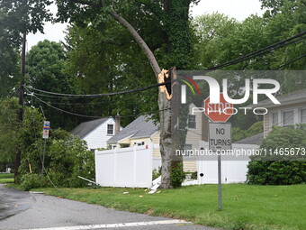 A large tree is damaging a fence, causing power lines to come down, and causing severe damage to a home during severe weather impacting the...