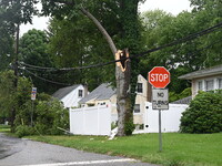 A large tree is damaging a fence, causing power lines to come down, and causing severe damage to a home during severe weather impacting the...