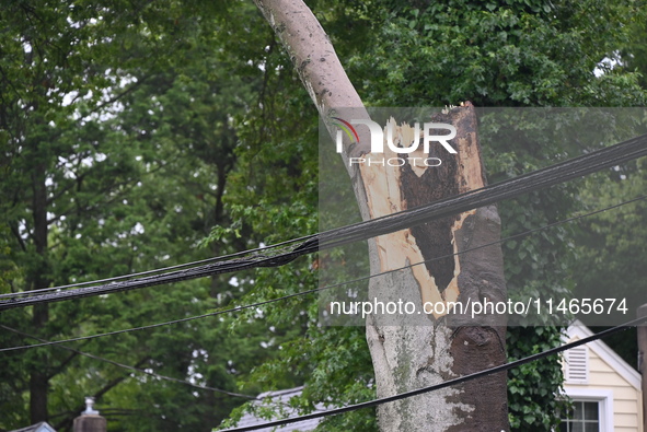 A large tree is damaging a fence, causing power lines to come down, and causing severe damage to a home during severe weather impacting the...