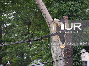 A large tree is damaging a fence, causing power lines to come down, and causing severe damage to a home during severe weather impacting the...