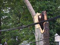 A large tree is damaging a fence, causing power lines to come down, and causing severe damage to a home during severe weather impacting the...