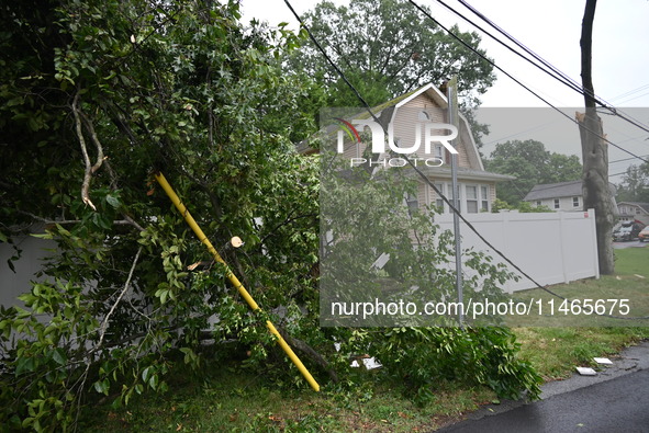 A large tree is damaging a fence, causing power lines to come down, and causing severe damage to a home during severe weather impacting the...