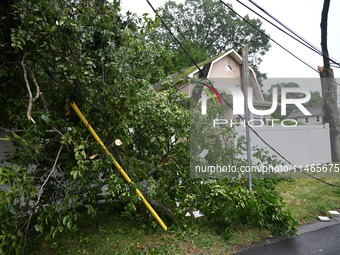 A large tree is damaging a fence, causing power lines to come down, and causing severe damage to a home during severe weather impacting the...