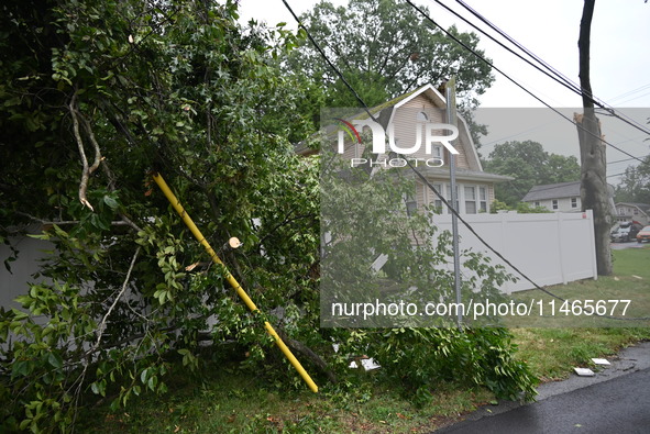 A large tree is damaging a fence, causing power lines to come down, and causing severe damage to a home during severe weather impacting the...