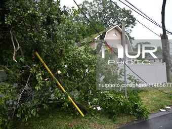 A large tree is damaging a fence, causing power lines to come down, and causing severe damage to a home during severe weather impacting the...