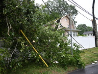 A large tree is damaging a fence, causing power lines to come down, and causing severe damage to a home during severe weather impacting the...