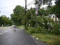 A large tree is damaging a fence, causing power lines to come down, and causing severe damage to a home during severe weather impacting the...