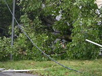 A large tree is damaging a fence, causing power lines to come down, and causing severe damage to a home during severe weather impacting the...