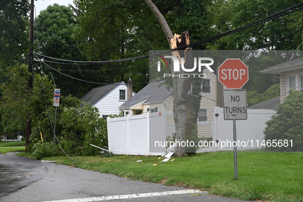 A large tree is damaging a fence, causing power lines to come down, and causing severe damage to a home during severe weather impacting the...