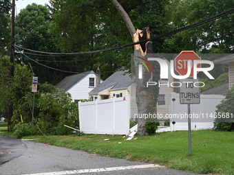 A large tree is damaging a fence, causing power lines to come down, and causing severe damage to a home during severe weather impacting the...