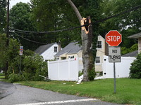 A large tree is damaging a fence, causing power lines to come down, and causing severe damage to a home during severe weather impacting the...