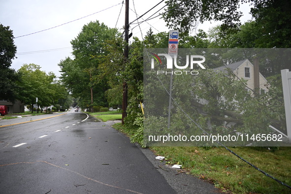 A large tree is damaging a fence, causing power lines to come down, and causing severe damage to a home during severe weather impacting the...