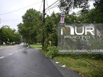 A large tree is damaging a fence, causing power lines to come down, and causing severe damage to a home during severe weather impacting the...