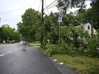 A large tree is damaging a fence, causing power lines to come down, and causing severe damage to a home during severe weather impacting the...