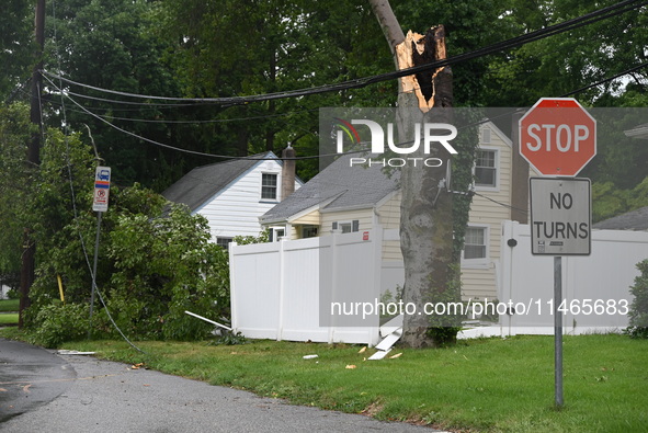 A large tree is damaging a fence, causing power lines to come down, and causing severe damage to a home during severe weather impacting the...