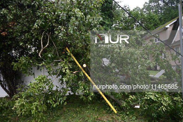 A large tree is damaging a fence, causing power lines to come down, and causing severe damage to a home during severe weather impacting the...