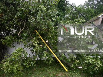 A large tree is damaging a fence, causing power lines to come down, and causing severe damage to a home during severe weather impacting the...