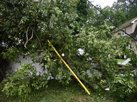 A large tree is damaging a fence, causing power lines to come down, and causing severe damage to a home during severe weather impacting the...