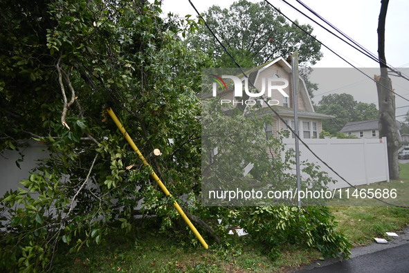 A large tree is damaging a fence, causing power lines to come down, and causing severe damage to a home during severe weather impacting the...