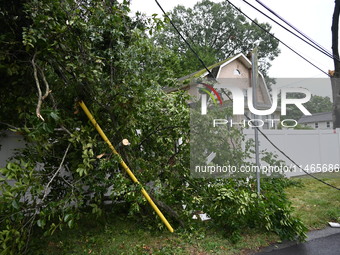 A large tree is damaging a fence, causing power lines to come down, and causing severe damage to a home during severe weather impacting the...