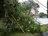 A large tree is damaging a fence, causing power lines to come down, and causing severe damage to a home during severe weather impacting the...