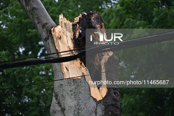 A large tree is damaging a fence, causing power lines to come down, and causing severe damage to a home during severe weather impacting the...